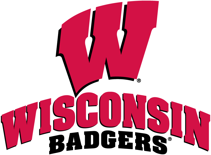 Wisconsin Badgers 2002-Pres Alternate Logo 03 iron on paper